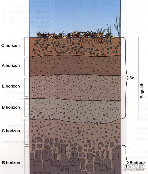 طبقه بندی انواع خاک