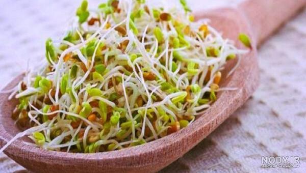 طرز تهیه شربت یونجه برای چاقی