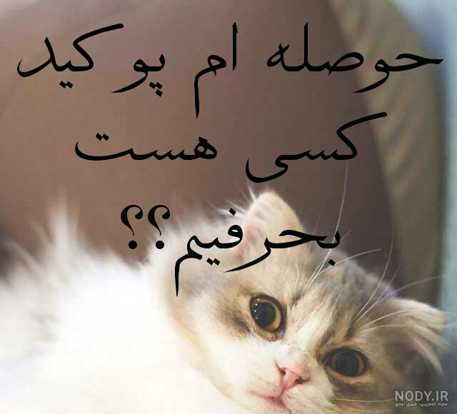 عکس برای گروه واتساپ دخترانه عکس برای گروه واتساپ دخترانه