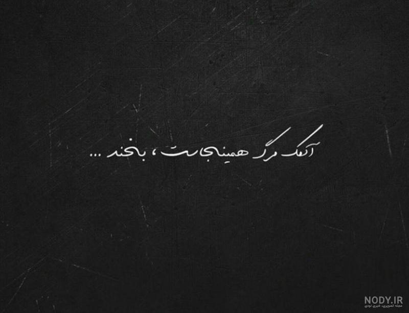 عکس سیاه سفید شاخ عکس سیاه سفید شاخ