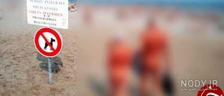 عکس شهر برهنگان فرانسه بدون سانسور عکس شهر برهنگان فرانسه بدون سانسور