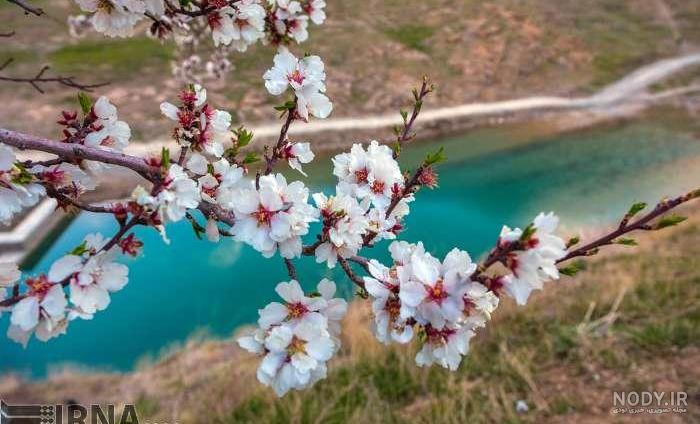 عکس طبیعت زیبا عکس طبیعت زیبا