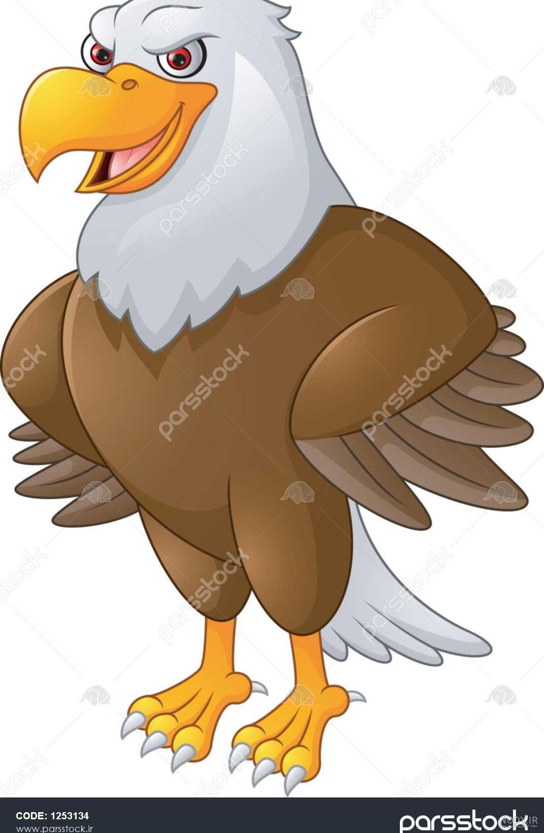 عکس عقاب کارتونی عکس عقاب کارتونی
