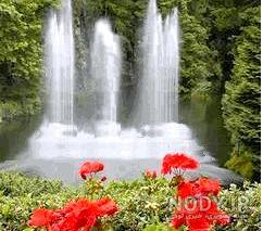 عکس متحرک طبیعت gif