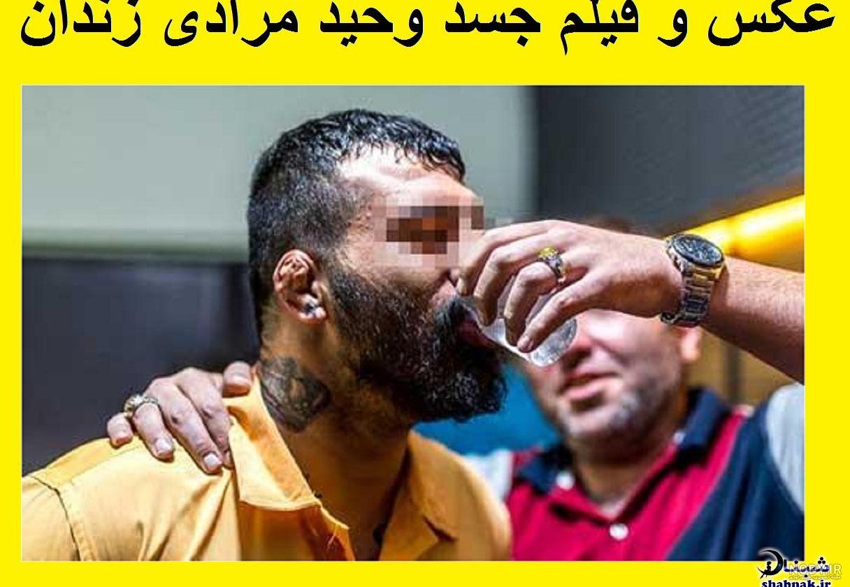 عکس پسر وحید مرادی بزرگیش عکس پسر وحید مرادی بزرگیش