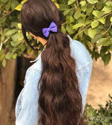 پروفایل طبیعت شمال