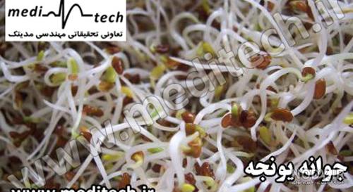 پودر یونجه برای چاقی صورت