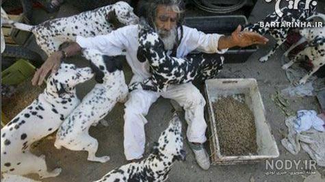 انواع نژاد سگ