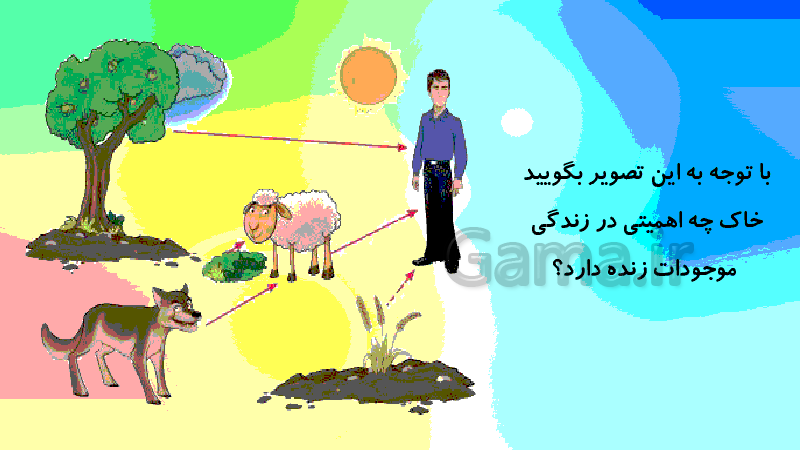 باکتری های آمونیاک ساز