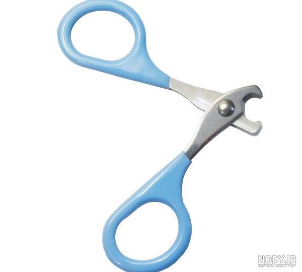 باکس سگ ژرمن باکس سگ ژرمن
