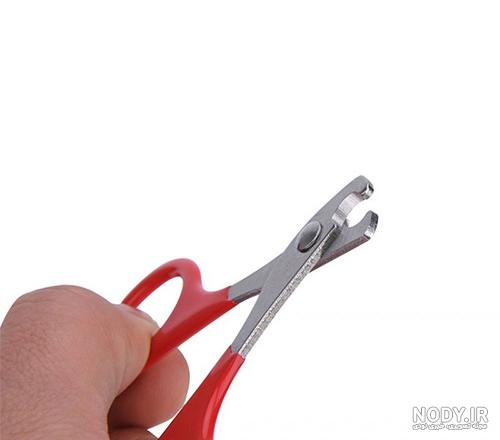 سگ را از کجا تهیه کنیم سگ را از کجا تهیه کنیم
