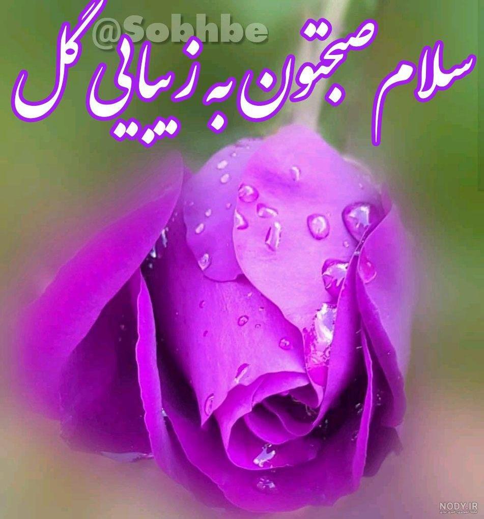 صبح بخیر عاشقانه دونفره