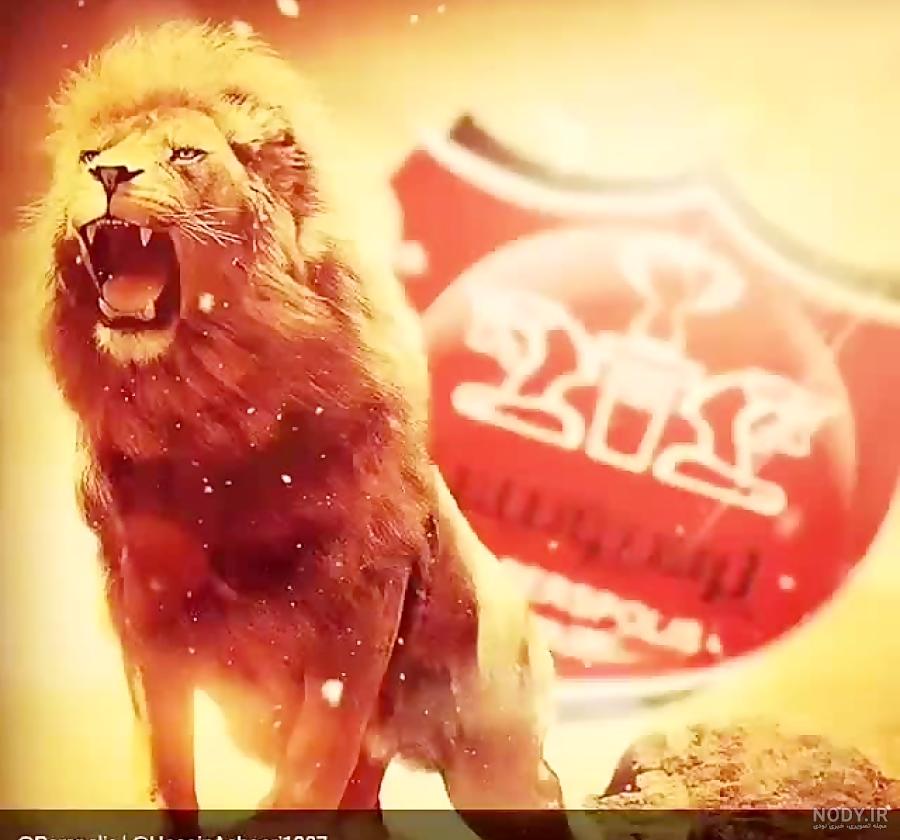 عکس شیر پرسپولیس با تاج