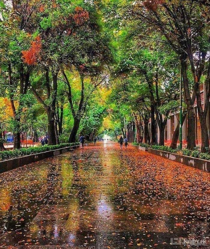 عکس های با معنی و زیبا عکس های با معنی و زیبا
