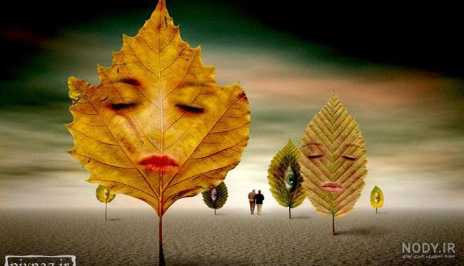 عکس دیدنی و زیبا