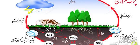 عکس چرخه خاک