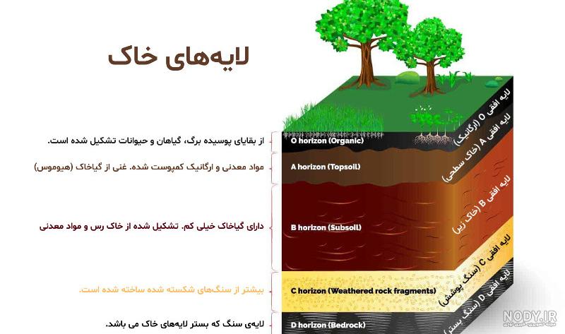 عکس چرخه کربن علوم نهم