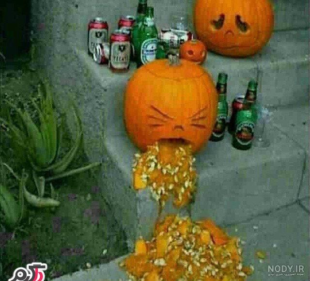 عکسهای دیدنی زیبای دنیا عکسهای دیدنی زیبای دنیا