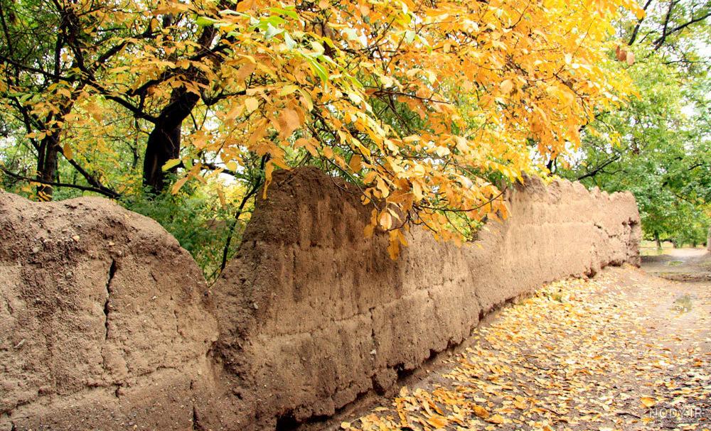 فضای باز برای عکاسی در کرج