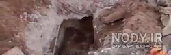 فیلم نبش قبر امامزاده