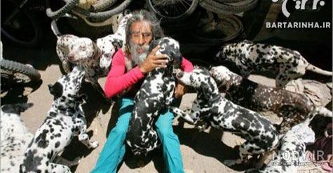 نژاد سگ من چیست