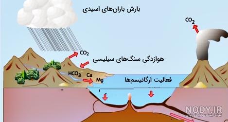 چرخه نیتروژن را توضیح دهید علوم نهم