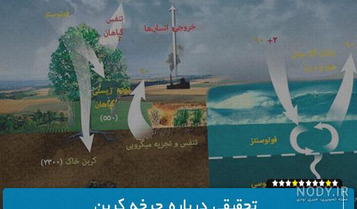 چرخه نیتروژن را شرح دهید