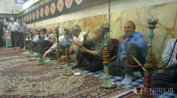 گالری عکس خنده دار حیوانات گالری عکس خنده دار حیوانات
