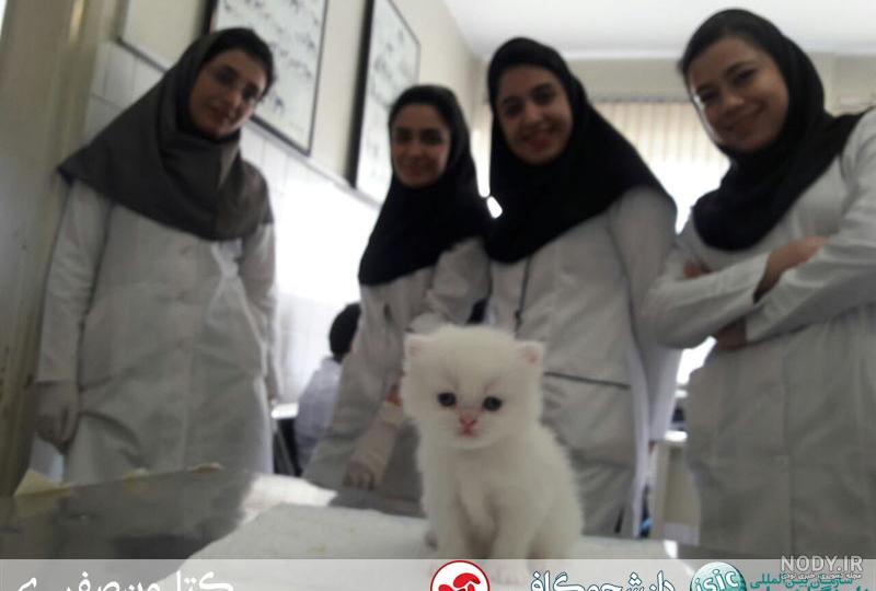 استایل دانشجویی بهاره استایل دانشجویی بهاره