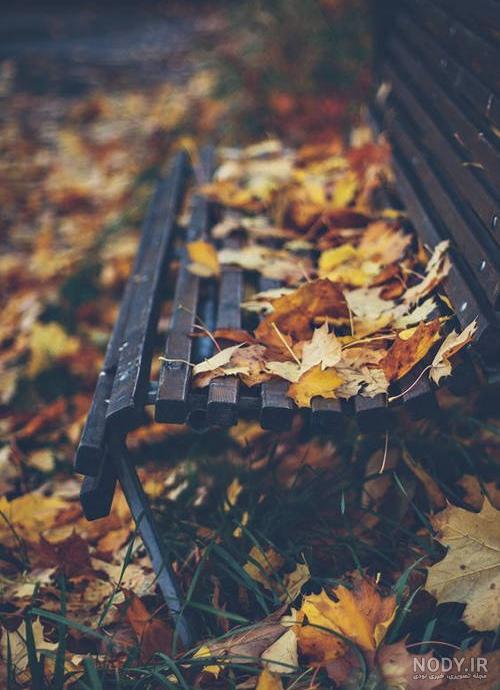 تصویر زمینه پاییز دخترانه