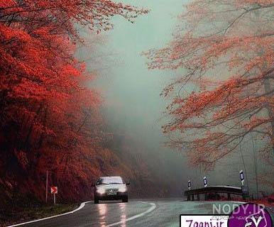 جاهای دیدنی شمال در پاییز جاهای دیدنی شمال در پاییز