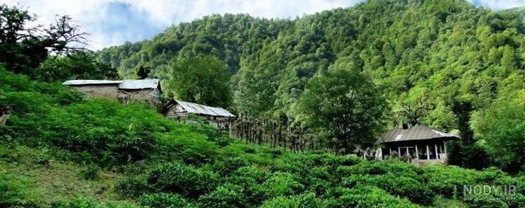 جاهای دیدنی شمال رامسر جاهای دیدنی شمال رامسر