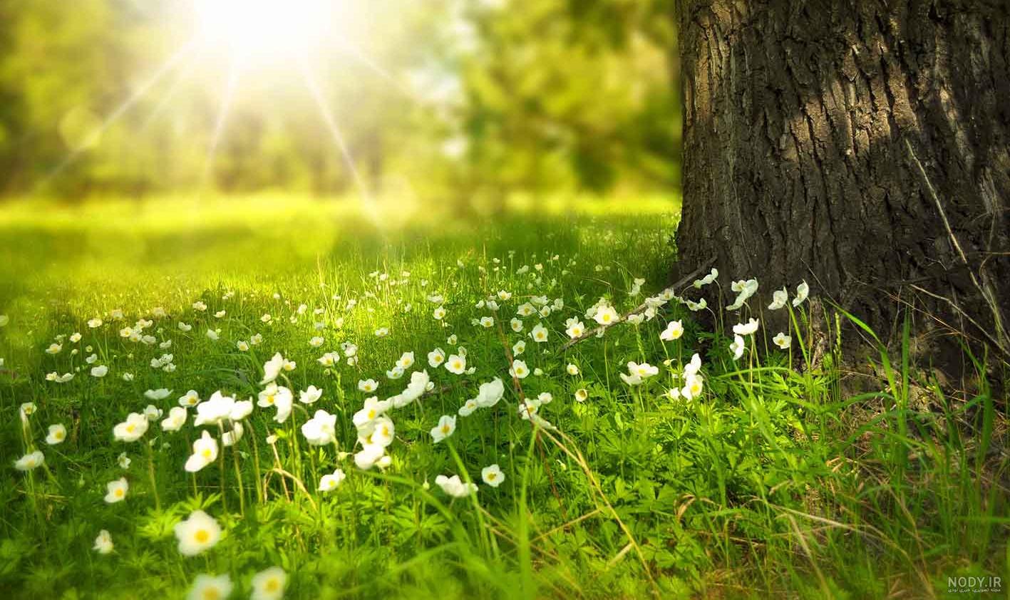 دانلود برنامه حذف و تغییر پس زمینه عکس دانلود برنامه حذف و تغییر پس زمینه عکس