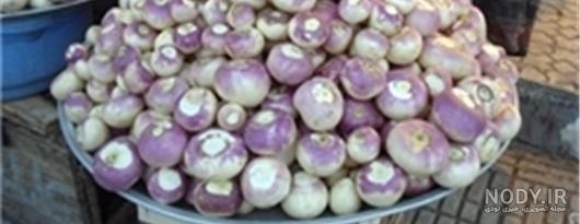 سیب زمینی ریشه است یا ساقه