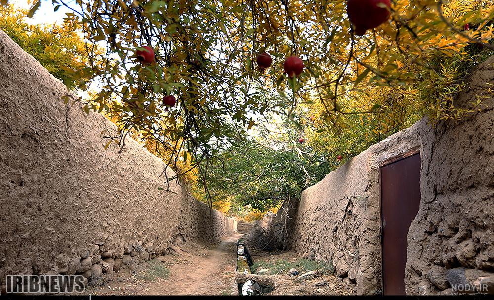 عکس بارانی