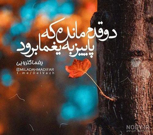 عکس بارانی عکس بارانی