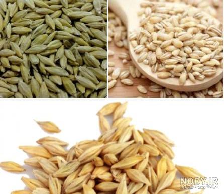 عکس جو پرک و جو دوسر