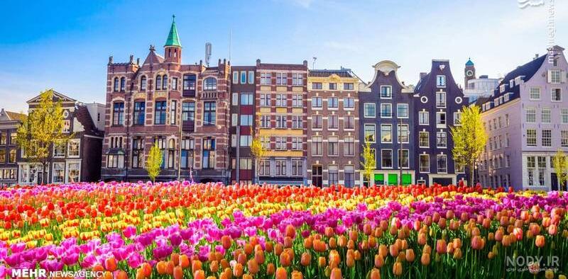 عکس طبیعت بهاری واقعی عکس طبیعت بهاری واقعی