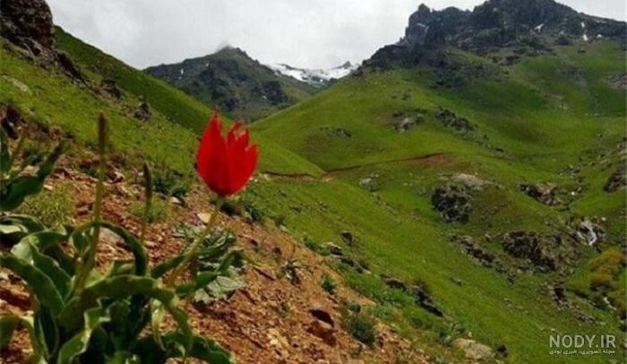 عکس طبیعت ساده