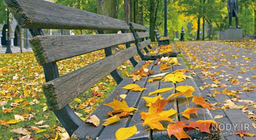 عکس طبیعت پاییزی با کیفیت بالا