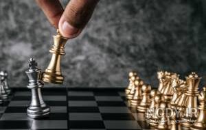 عکس وزیر شطرنج عکس وزیر شطرنج