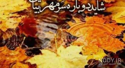عکس پاییز بارانی عکس پاییز بارانی