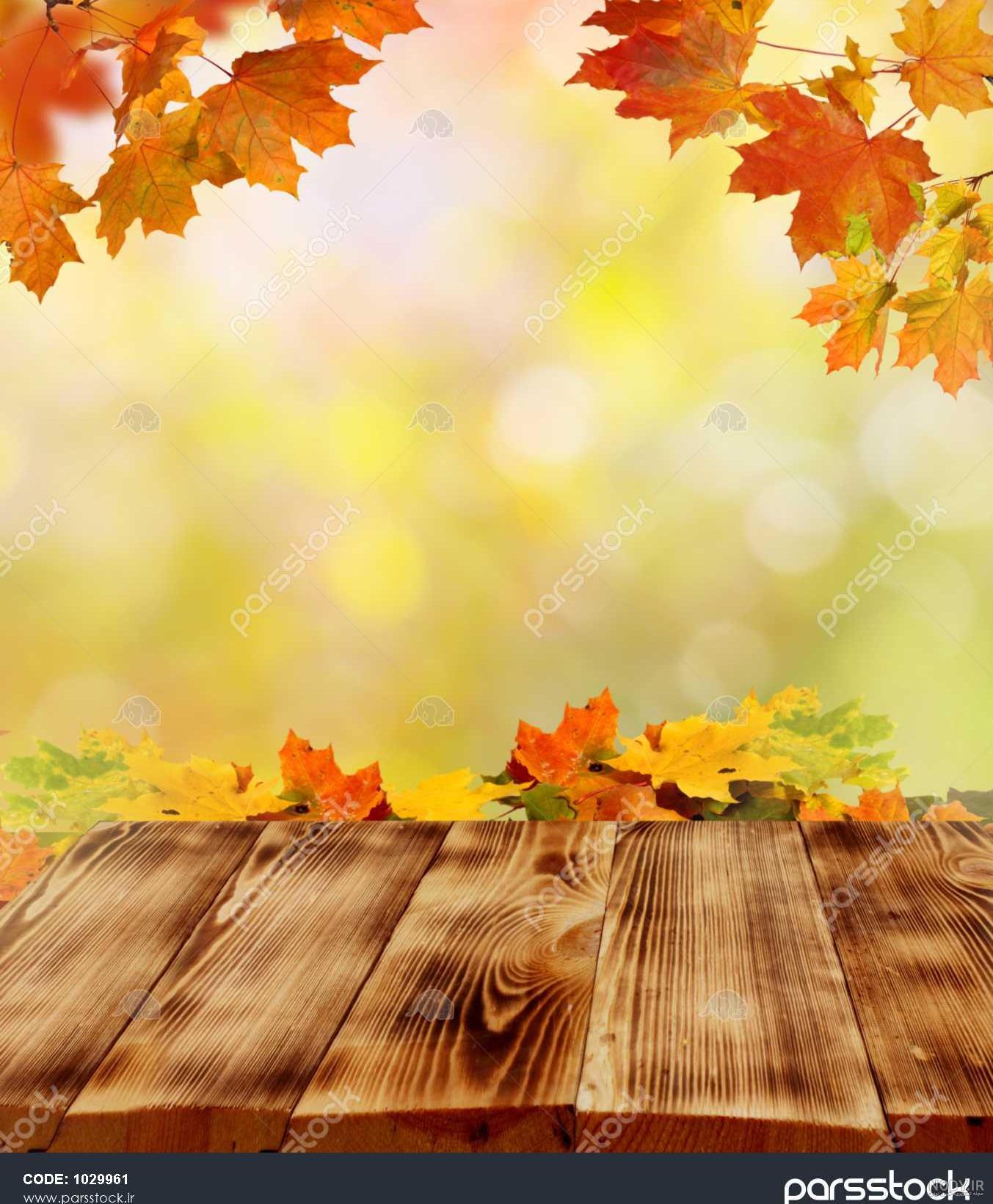 عکس پاییزی برای پس زمینه
