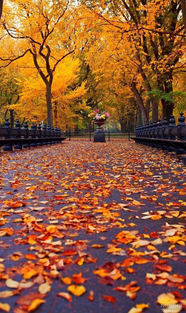 عکس پاییزی پس زمینه