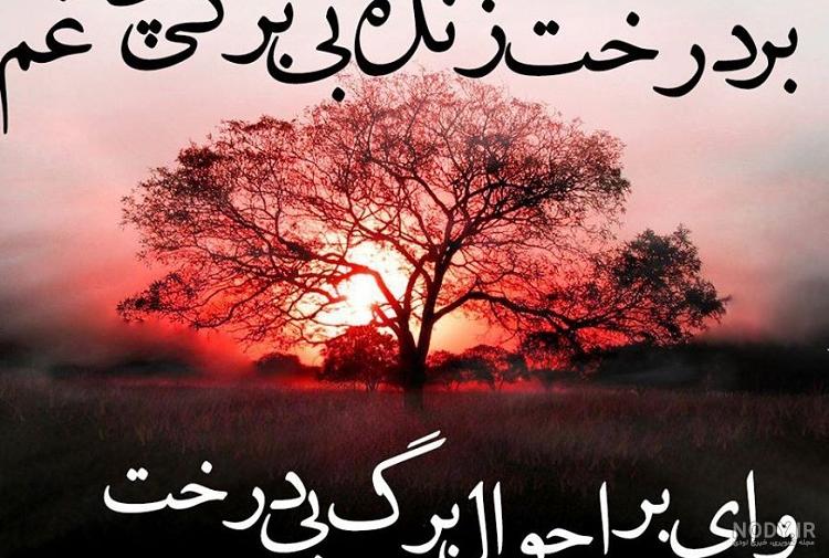فیلم های سیاسی کوتاه