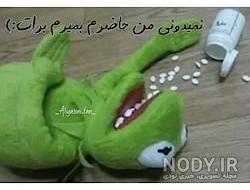 قورباغه واقعی قورباغه واقعی