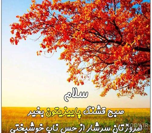 متن صبح بخیر زیبا و پر انرژی متن صبح بخیر زیبا و پر انرژی