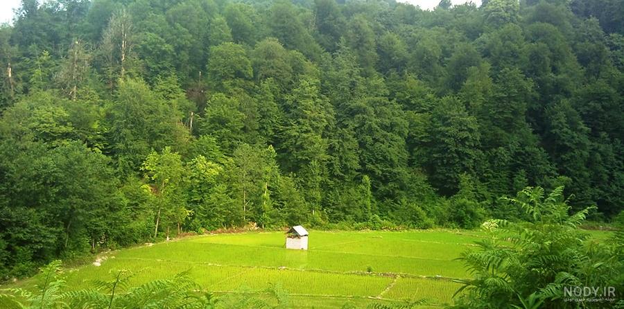 نام شهرهای مازندران نام شهرهای مازندران