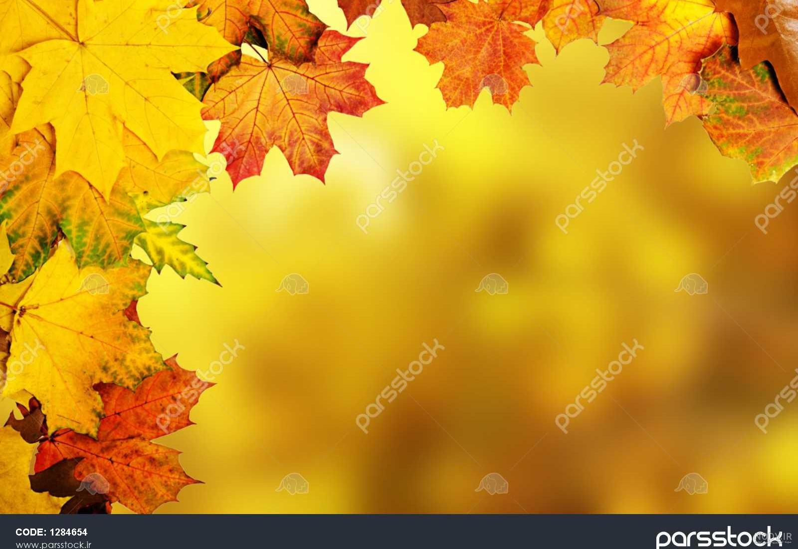 والپیپر پاییزی والپیپر پاییزی