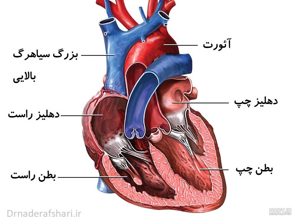 پروفایل ضربان قلب عاشقانه پروفایل ضربان قلب عاشقانه